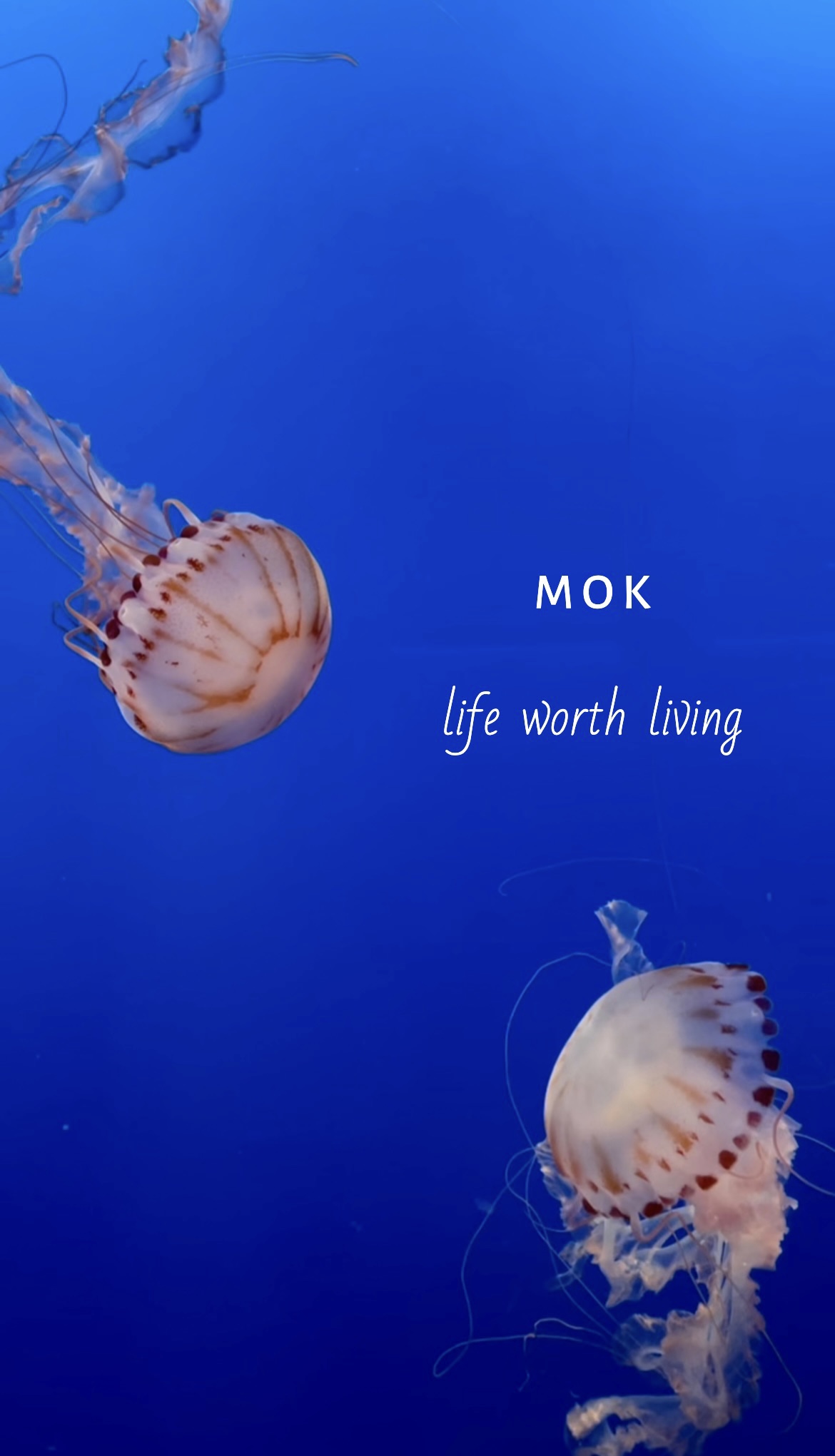 The variety is impressive on stunning new album ‘Life Worth Living’ from New York’s artist and producer ‘M O K’.